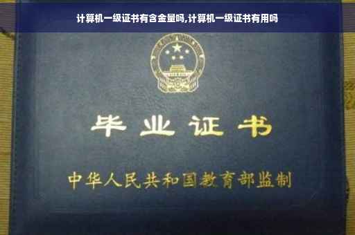 计算机一级证书有含金量吗,计算机一级证书有用吗