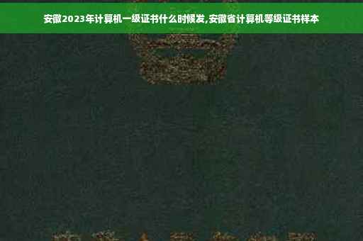 安徽2023年计算机一级证书什么时候发,安徽省计算机等级证书样本