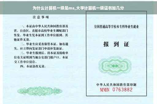为什么计算机一级是ms,大学计算机一级证书加几分