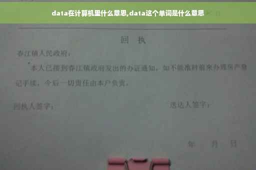 data在计算机里什么意思,data这个单词是什么意思