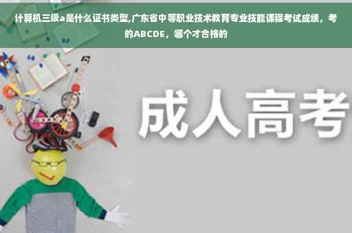 计算机三级a是什么证书类型,广东省中等职业技术教育专业技能课程考试成绩，考的ABCDE，哪个才合格的
