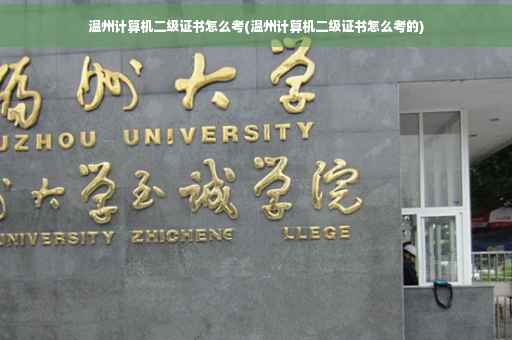 温州计算机二级证书怎么考(温州计算机二级证书怎么考的)