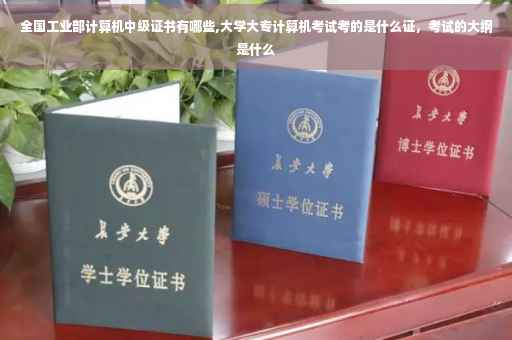 全国工业部计算机中级证书有哪些,大学大专计算机考试考的是什么证，考试的大纲是什么
