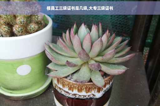 模具工三级证书是几级,大专三级证书