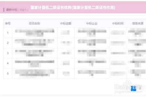 国家计算机二级证书优势(国家计算机二级证书作用)