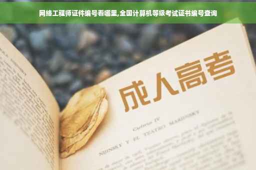 网络工程师证件编号看哪里,全国计算机等级考试证书编号查询