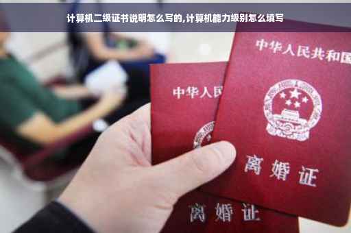 计算机二级证书说明怎么写的,计算机能力级别怎么填写