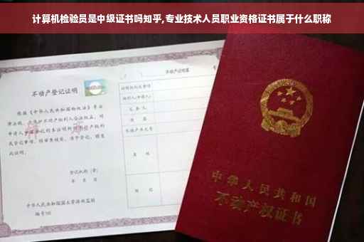 计算机检验员是中级证书吗知乎,专业技术人员职业资格证书属于什么职称