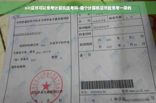 nit证书可以免考计算机统考吗-哪个计算机证书能免考一级的