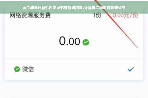 高中毕业计算机相关证书有哪些内容,计算机二级都有哪些证书