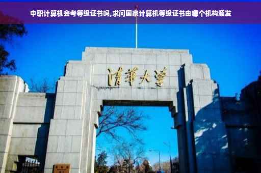 中职计算机会考等级证书吗,求问国家计算机等级证书由哪个机构颁发