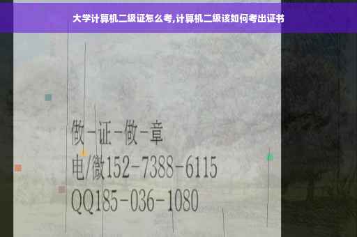 大学计算机二级证怎么考,计算机二级该如何考出证书