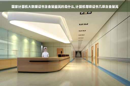 国家计算机大数据证书含金量最高的是什么,计算机等级证书几级含金量高