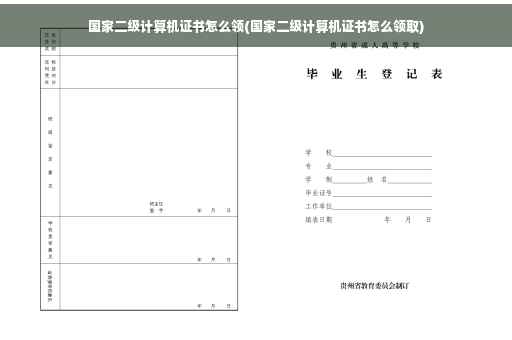 国家二级计算机证书怎么领(国家二级计算机证书怎么领取)