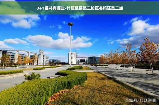 3+1证书有哪些-计算机系是三加证书吗还是二加