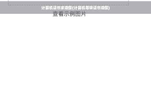 计算机证书求造假(计算机等级证书造假)