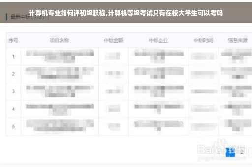 计算机专业如何评初级职称,计算机等级考试只有在校大学生可以考吗