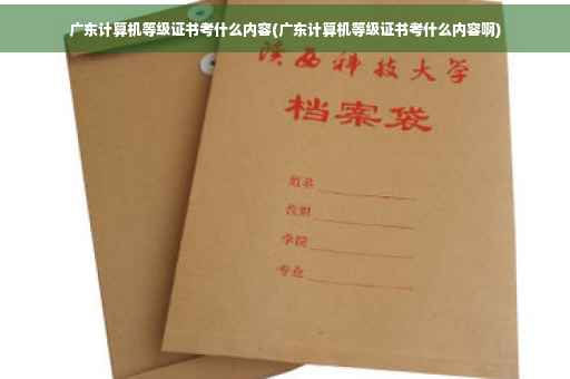 广东计算机等级证书考什么内容(广东计算机等级证书考什么内容啊)