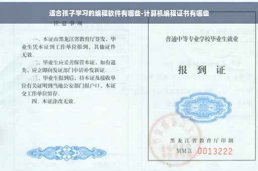 适合孩子学习的编程软件有哪些-计算机编程证书有哪些
