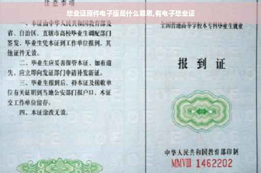 毕业证原件电子版是什么意思,有电子毕业证