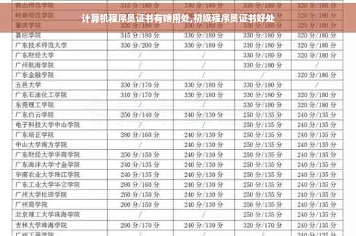 计算机程序员证书有啥用处,初级程序员证书好处 计算机程序员证书有啥用处,初级程序员证书好处