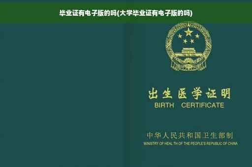 毕业证有电子版的吗(大学毕业证有电子版的吗)