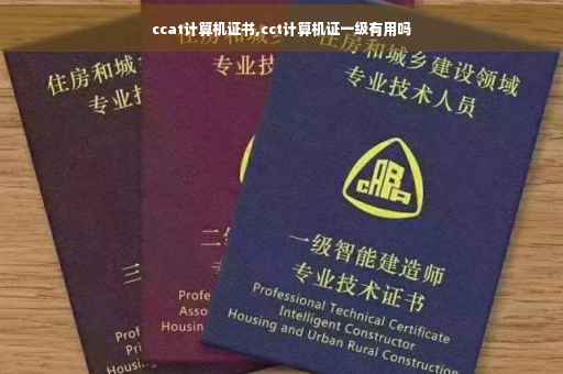 ccat计算机证书,cct计算机证一级有用吗