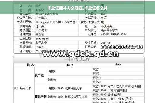 毕业证能补办么现在,毕业证怎么补