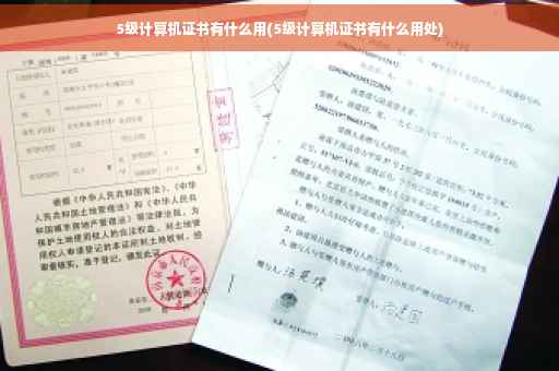 5级计算机证书有什么用(5级计算机证书有什么用处)