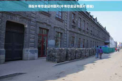 现在中专毕业证书图片(中专毕业证书图片 模板)