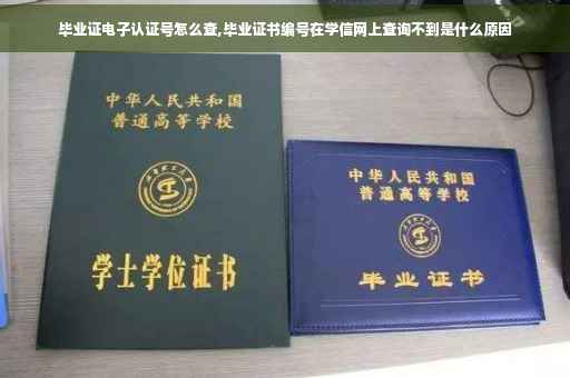 毕业证电子认证号怎么查,毕业证书编号在学信网上查询不到是什么原因