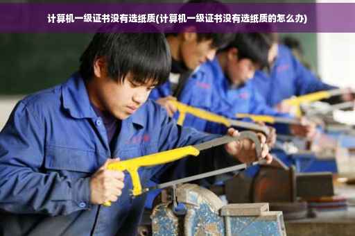 计算机一级证书没有选纸质(计算机一级证书没有选纸质的怎么办)