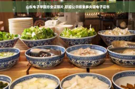 山东电子学院毕业证图片,职称公示结束多久领电子证书