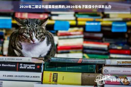 2020年二建证书哪里是纸质的,2020年电子医保卡升级怎么办