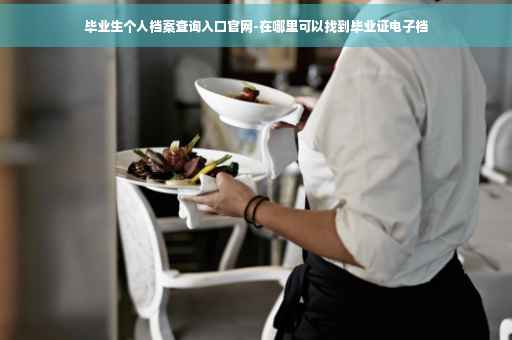 毕业生个人档案查询入口官网-在哪里可以找到毕业证电子档