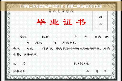 计算机二级考试的证件号是什么,计算机二级证书照片什么底