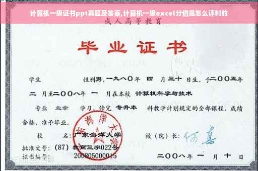 计算机一级证书ppt真题及答案,计算机一级excel分值是怎么评判的