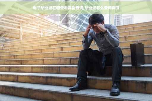 电子毕业证在哪查看真伪查询,毕业证怎么查询真假