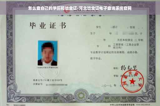 怎么查自己的学历和毕业证-河北毕业证电子查询系统官网
