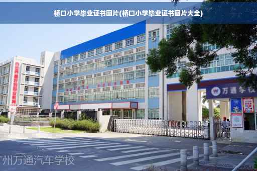 桥口小学毕业证书图片(桥口小学毕业证书图片大全)