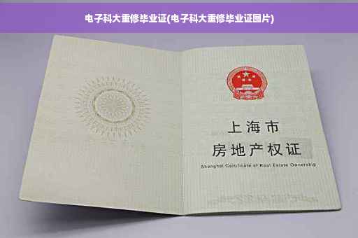 电子科大重修毕业证(电子科大重修毕业证图片)