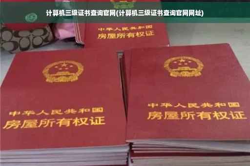 计算机三级证书查询官网(计算机三级证书查询官网网址)