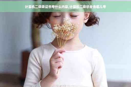 计算机二级级证书考什么内容,计算机二级毕业去哪儿考