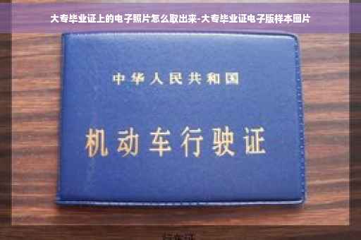 大专毕业证上的电子照片怎么取出来-大专毕业证电子版样本图片