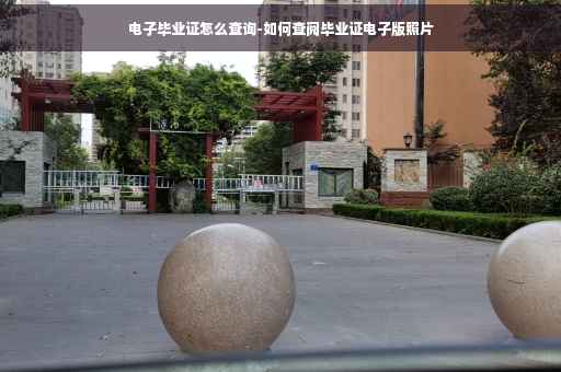 电子毕业证怎么查询-如何查阅毕业证电子版照片