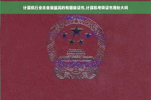 计算机行业含金量最高的有哪些证书,计算机考级证书用处大吗