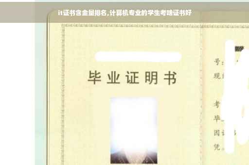 it证书含金量排名,计算机专业的学生考啥证书好