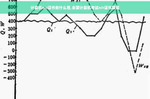 计算机nit证书有什么用,全国计算机考试nit证书题库