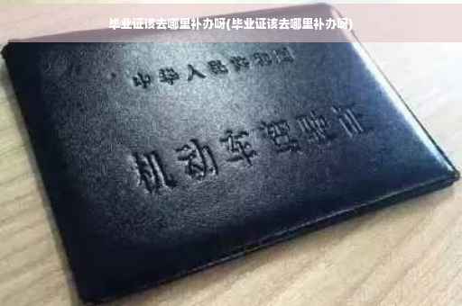 毕业证该去哪里补办呀(毕业证该去哪里补办呀)