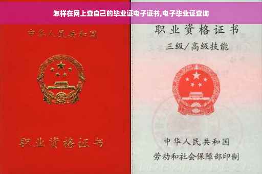 怎样在网上查自己的毕业证电子证书,电子毕业证查询